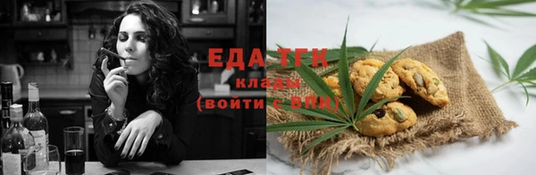 хмурый Абаза