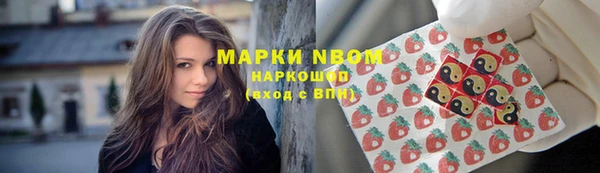 хмурый Абаза