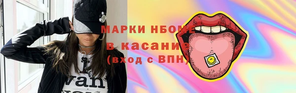 хмурый Абаза