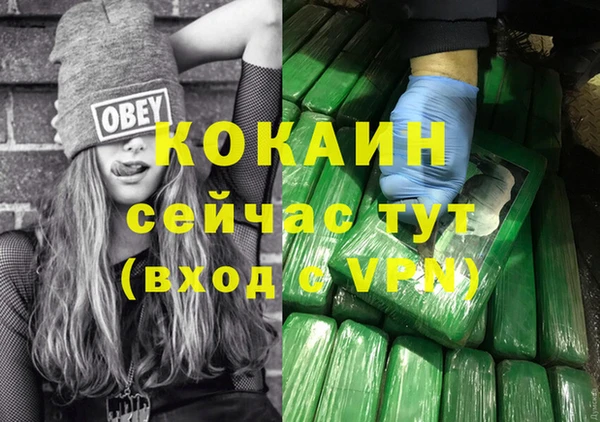 хмурый Абаза
