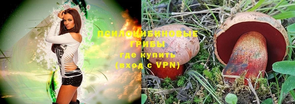 PSILOCYBIN Абдулино