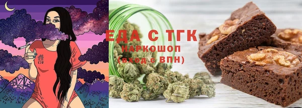 хмурый Абаза