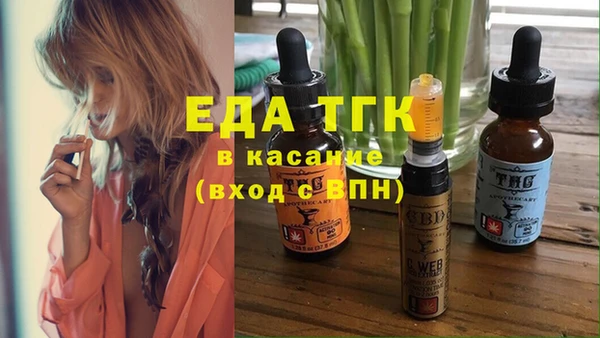 хмурый Абаза