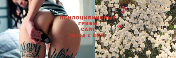 PSILOCYBIN Абдулино