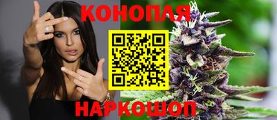 прущие крисы Новозыбков