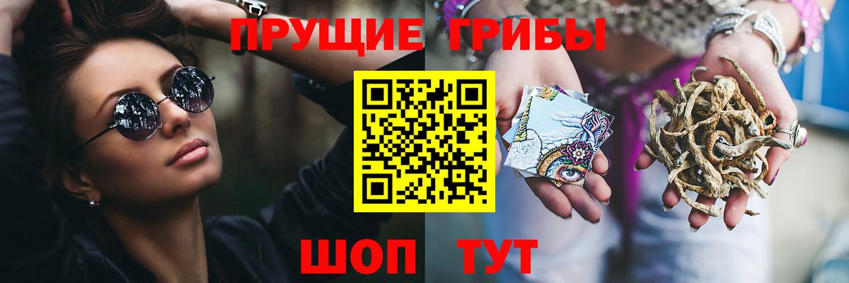 Сафоново  Псилоцибиновые грибы GOLDEN TEACHER  Псилоцибиновые грибы мухоморы  Вход с VPN 