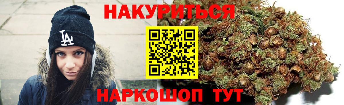 МАРИХУАНА сатива Сафоново